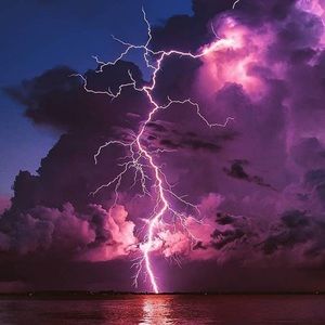 Meet your Posher, Cole